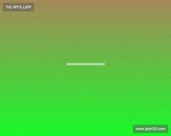 莱比锡为填补谢什科空缺盯上法比奥席尔瓦与罗慕洛双人组合